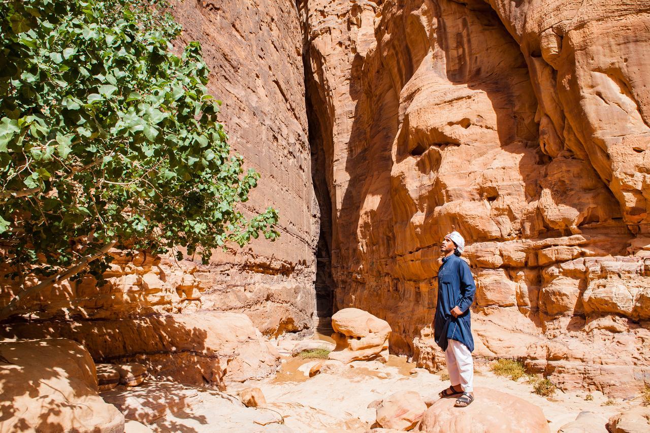 Hotel Arabian Nights Wadi Rum Exterior foto